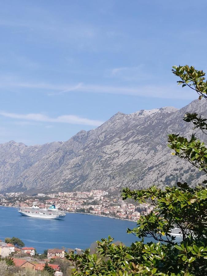 Dolce Casa Villa Kotor Kültér fotó
